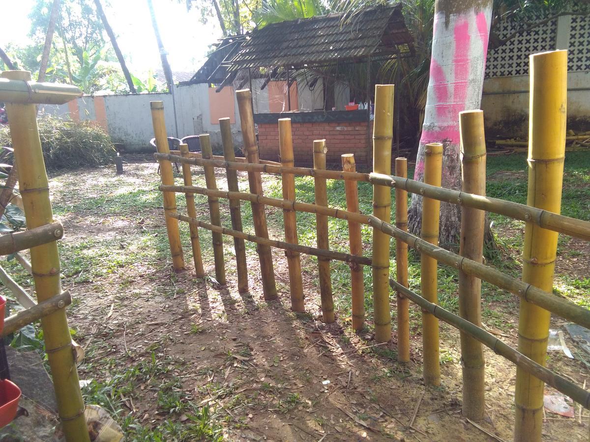 Bed and Breakfast Elphinstone Residency Kochi Екстер'єр фото